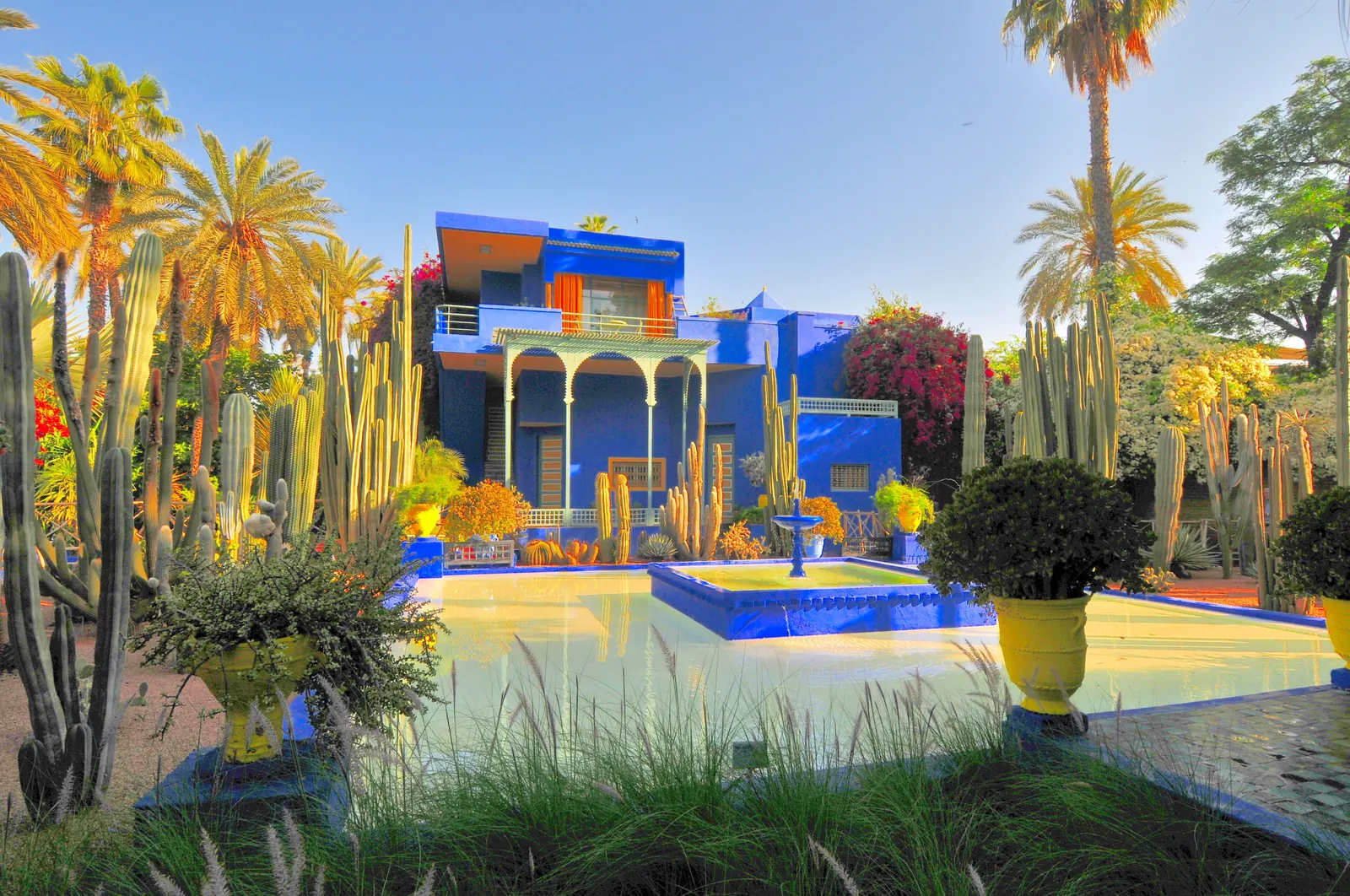 The cobalt-blue villa and cacti of the Jardin Majorelle in Marrakech